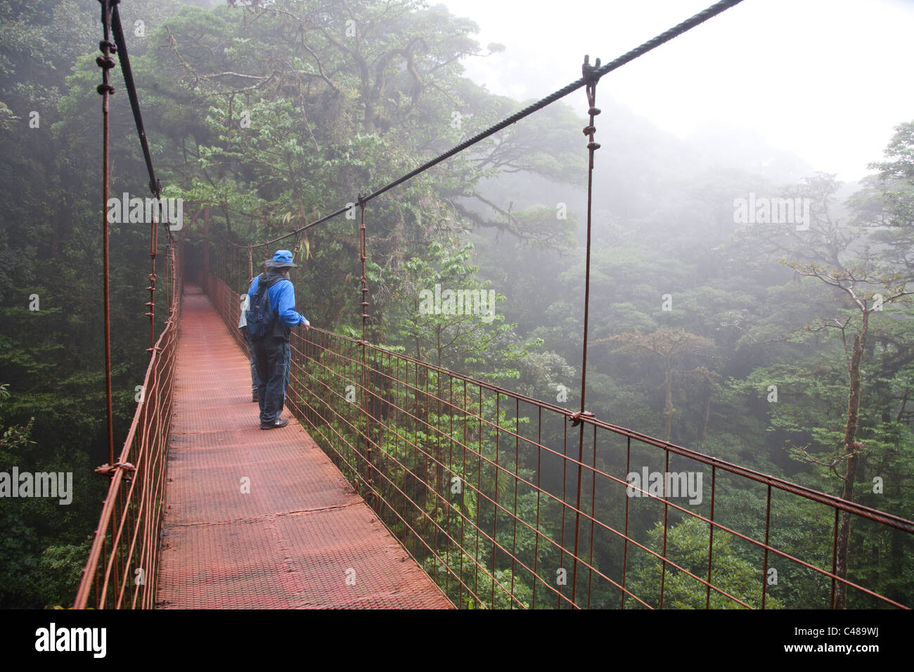 Monteverde Cloud Forest Preserve. Costa Rica Foto Stock