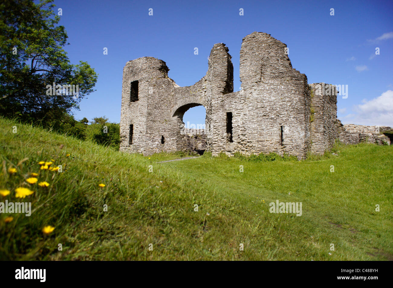 Ingresso al castello a Newcastle Emlyn, Carmarthenshire, Galles Galles Wales. È stata sequestrata nel 1215 da Llewelyn il Grande (Llywelyn ap Iorwerth) Foto Stock