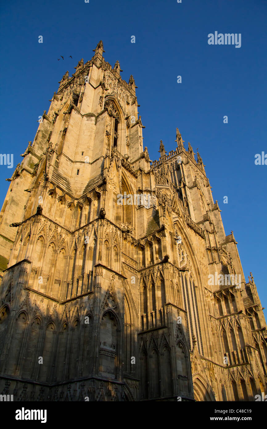 Cerca fino al cielo prima lo splendore della facciata ovest della cattedrale di York Minster Foto Stock