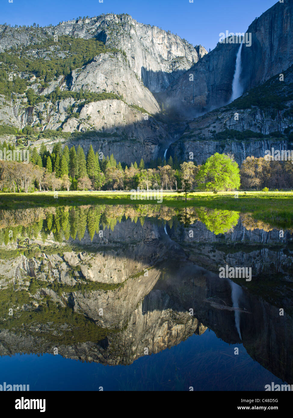 Vista la mattina di Upper e Lower Yosemite Falls riflessa nella primavera stagni Foto Stock
