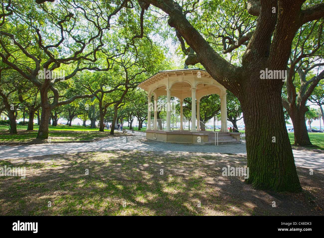 Lecci in Battery Park, estremità sud della penisola nella Storica Charleston, Sc, STATI UNITI D'AMERICA Foto Stock
