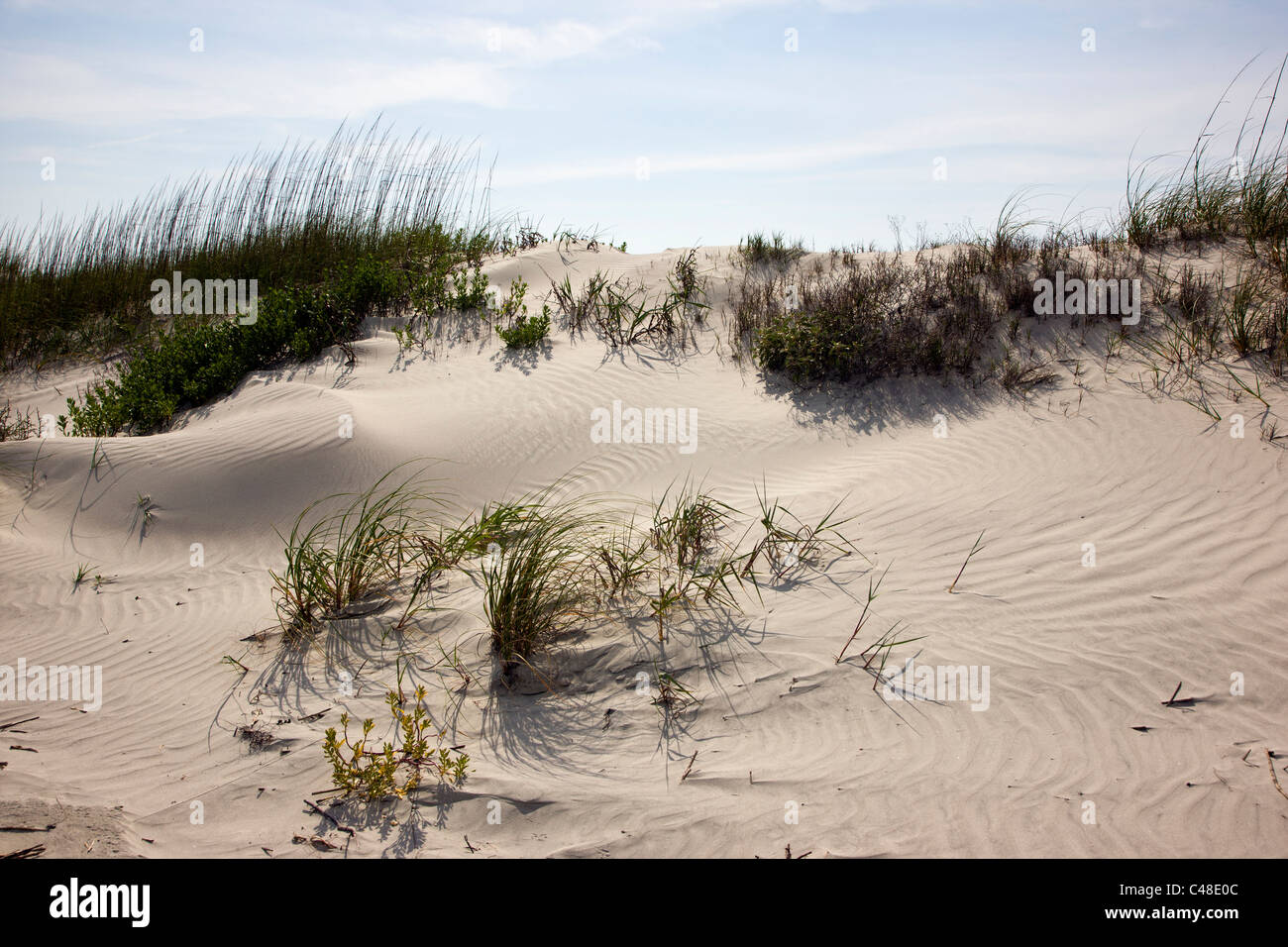 Una bellissima spiaggia di sabbia sul Seabrook Island, vicino a Charleston, Carolina del Sud, STATI UNITI D'AMERICA Foto Stock