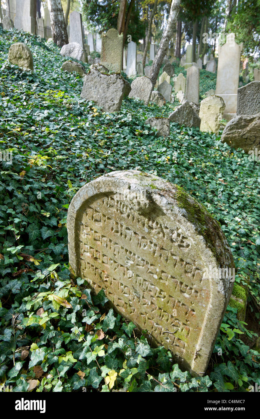 Cimitero ebraico a Trebic, Patrimonio culturale e naturale mondiale dell'UNESCO, Moravia Repubblica Ceca Foto Stock