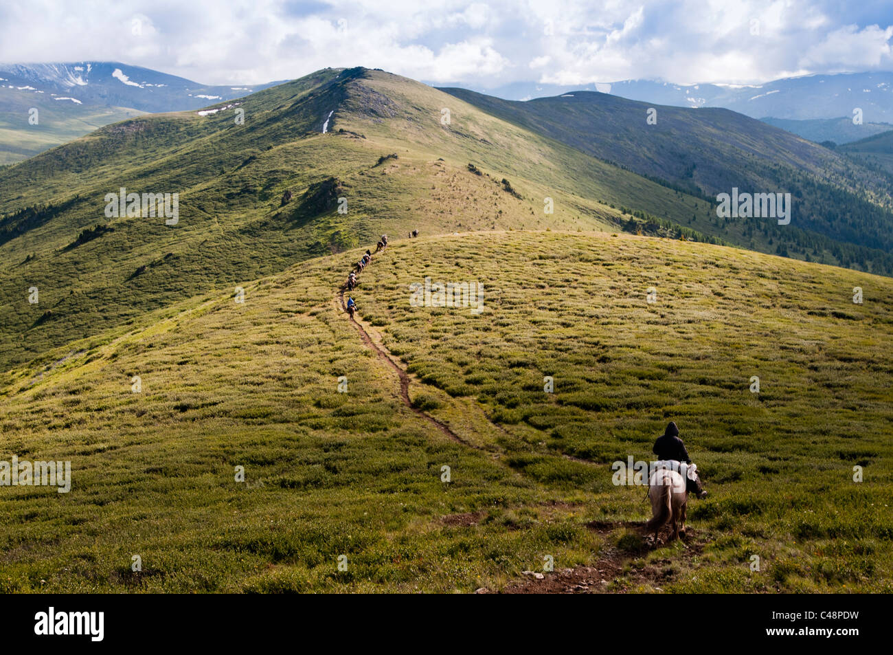 Sul sentiero di Mtn. Belukha, Altai Repubblica, Siberia, Russia Foto Stock