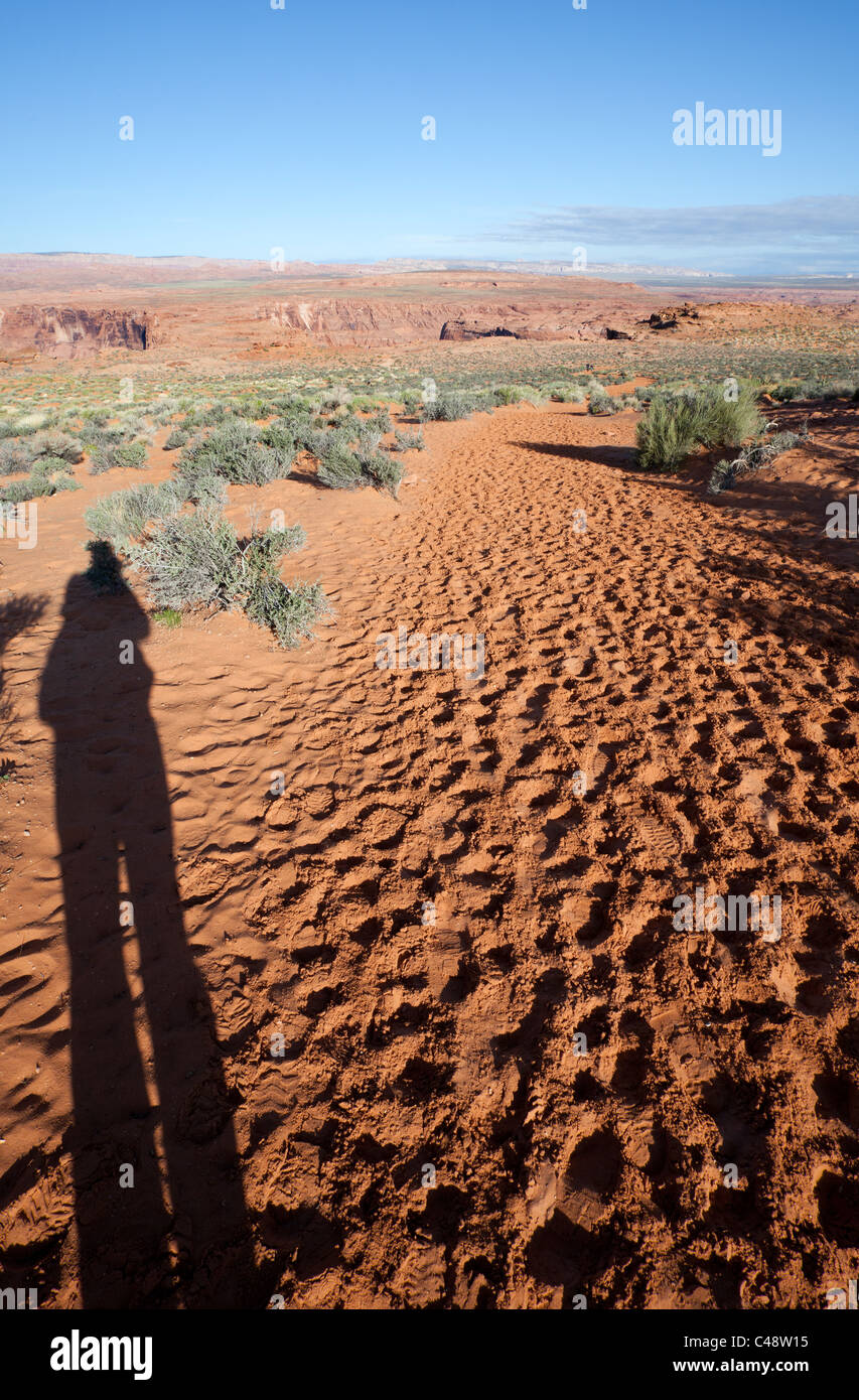 Il ferro di cavallo regione curva punto panoramico page Arizona USA Foto Stock