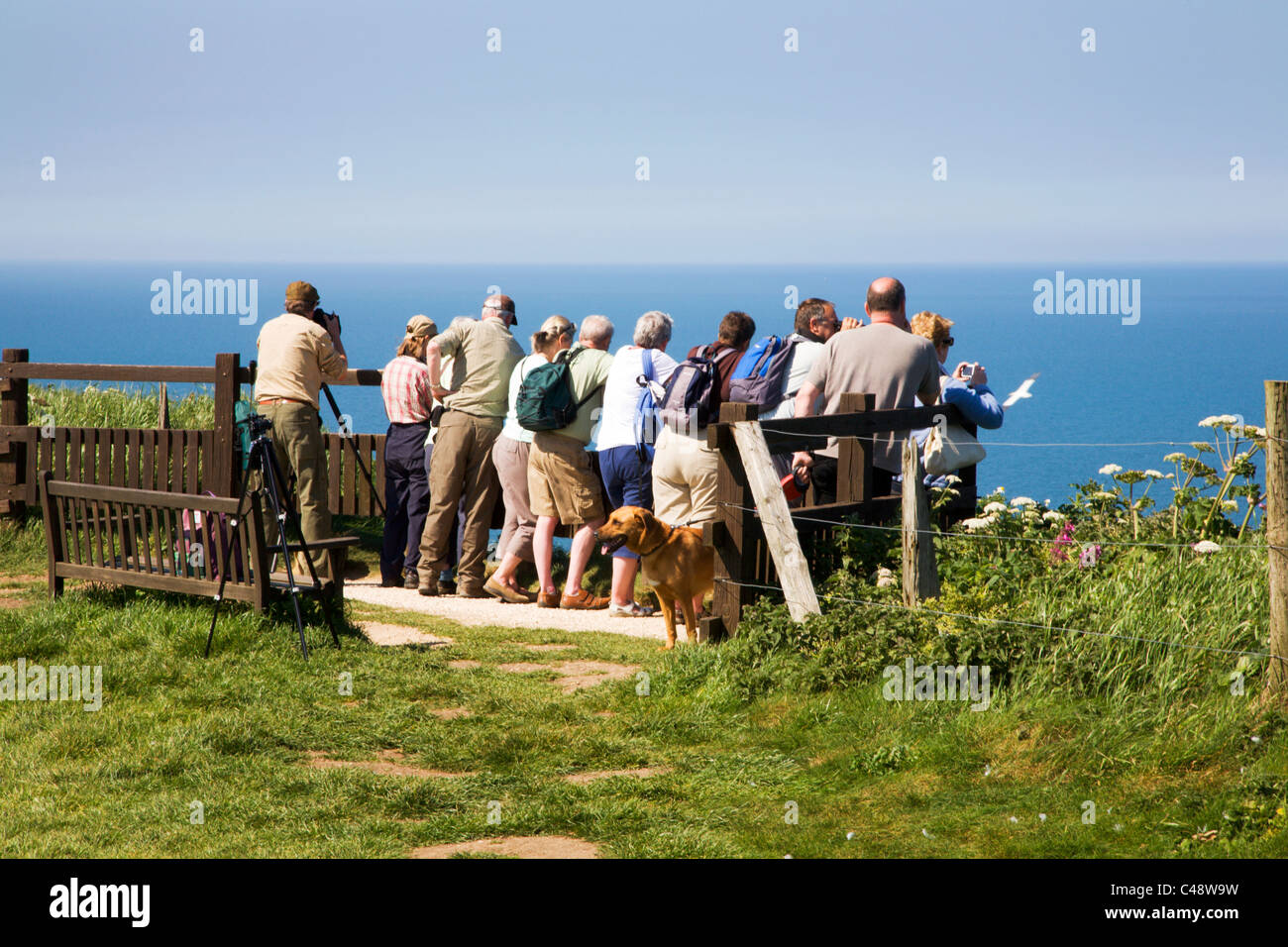 Gli amanti del birdwatching a Bempton Cliffs East Riding of Yorkshire Inghilterra Foto Stock