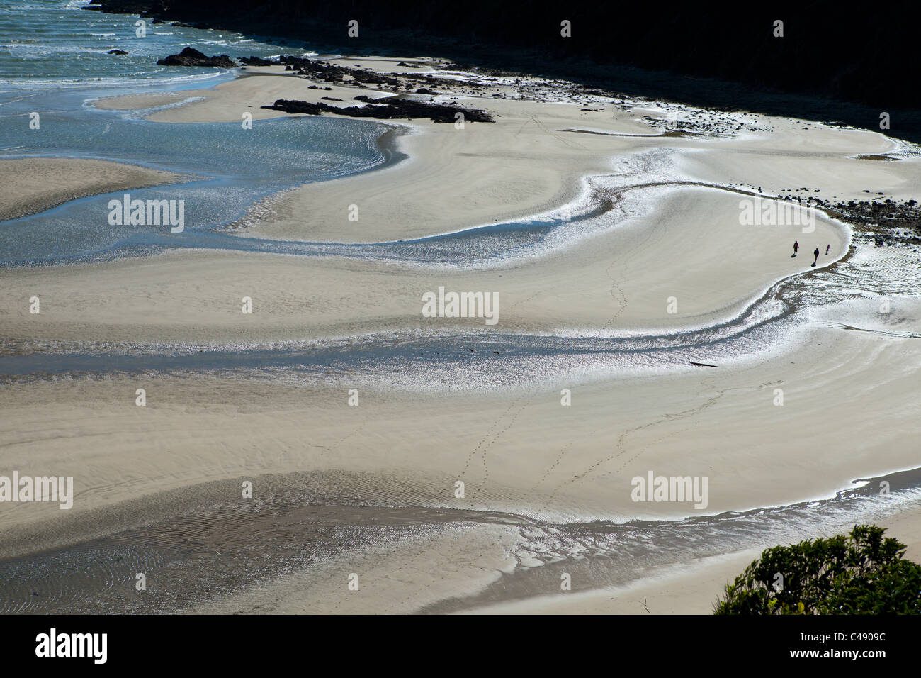 Wainui Bay durante la bassa marea, Abel Tasman Nat. Parco, Nuova Zelanda Foto Stock