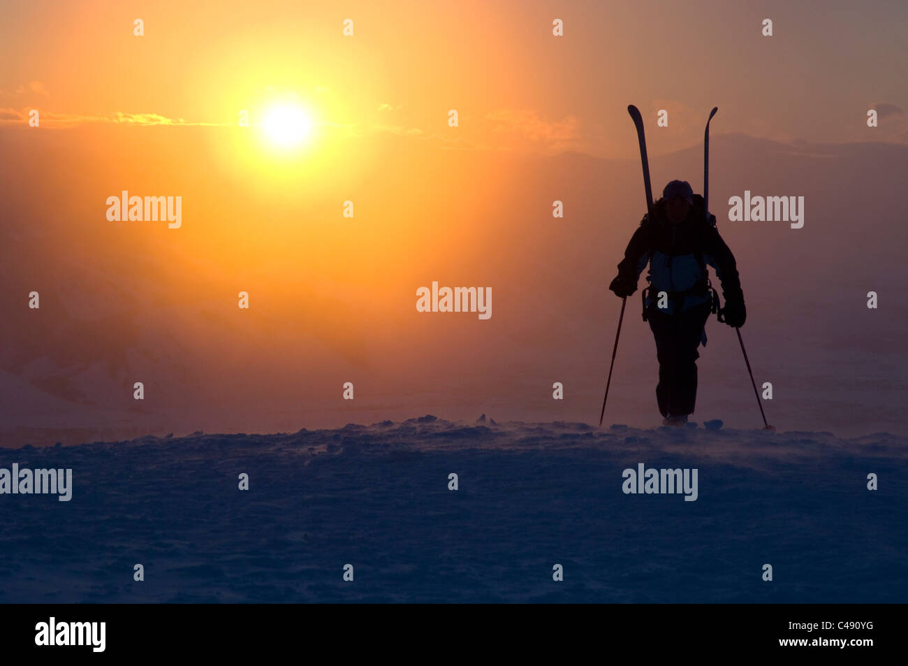 Una donna escursioni in montagna con gli sci sulla sua schiena a sunrise vicino a Jackson, Wyoming. Foto Stock