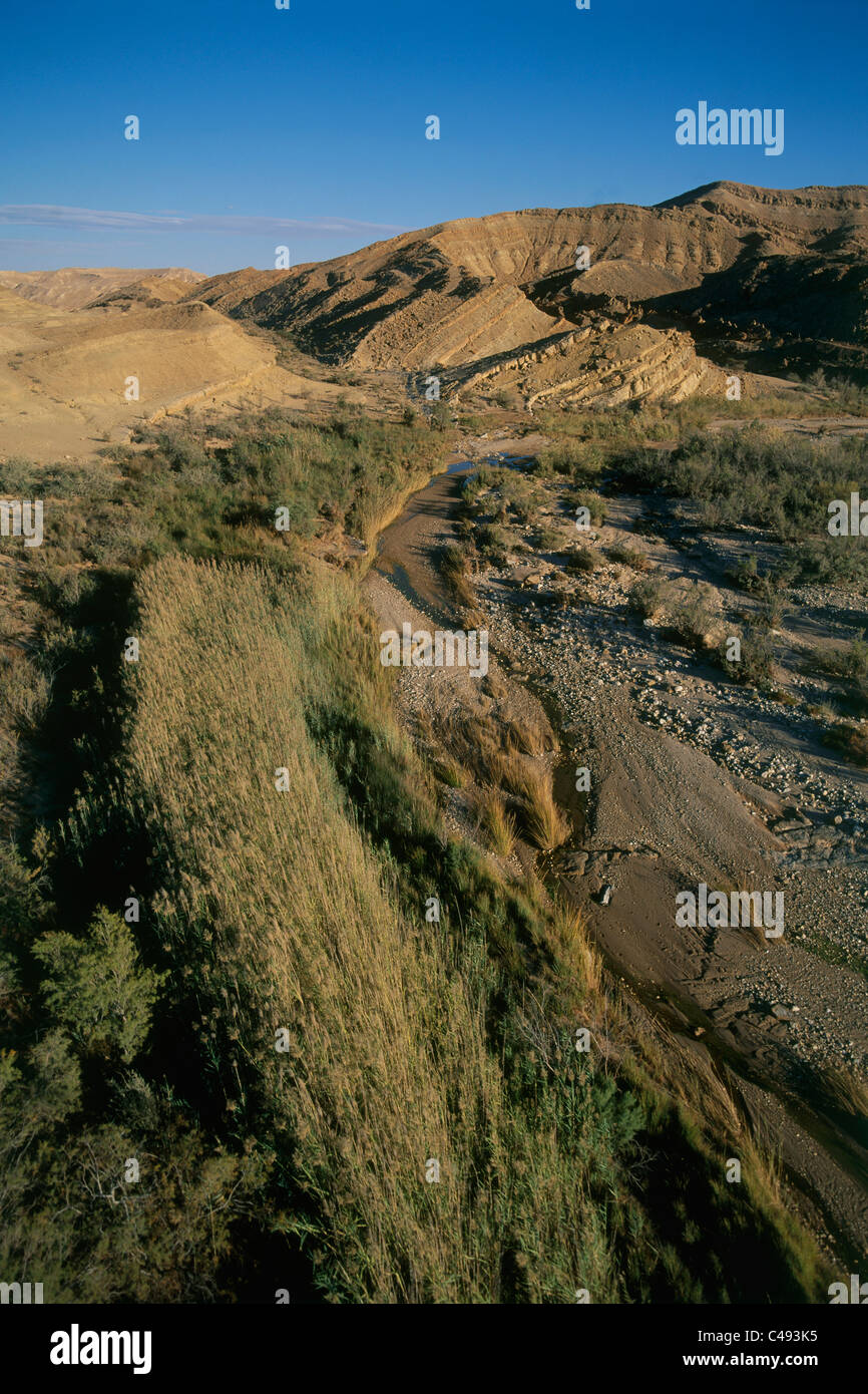 Fotografia aerea di Ein Saharonim wadi nel deserto del Negev Foto Stock