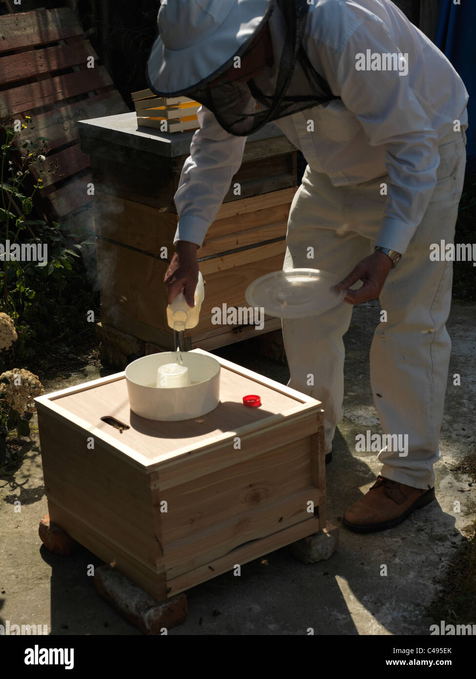 Apicoltore indossando bianco e un Bee Keeper velo versando la soluzione dello zucchero per l'alimentazione di miele api Foto Stock