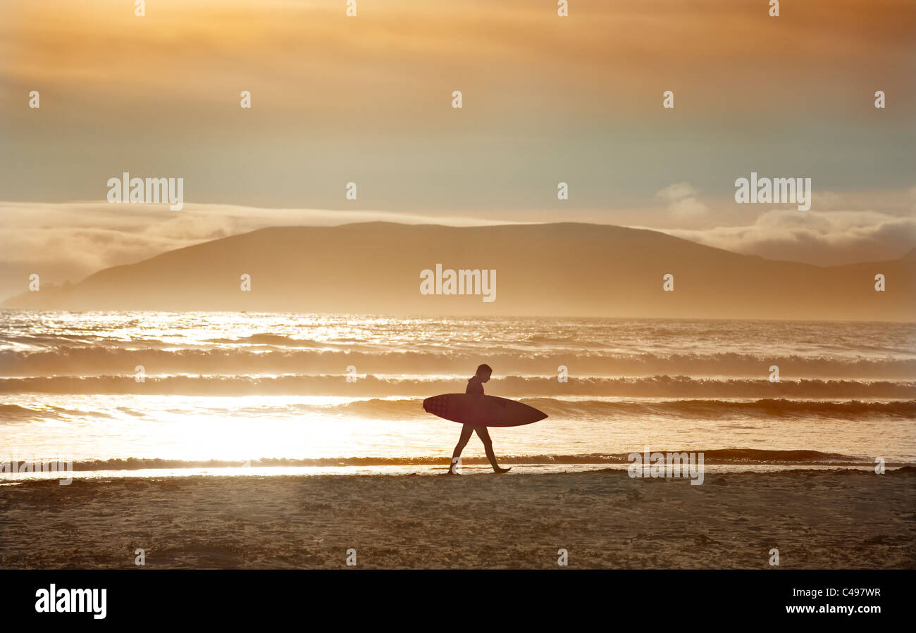 Surfer a piedi con la tavola da surf sulla spiaggia, Pismo Beach, California, Stati Uniti d'America Foto Stock