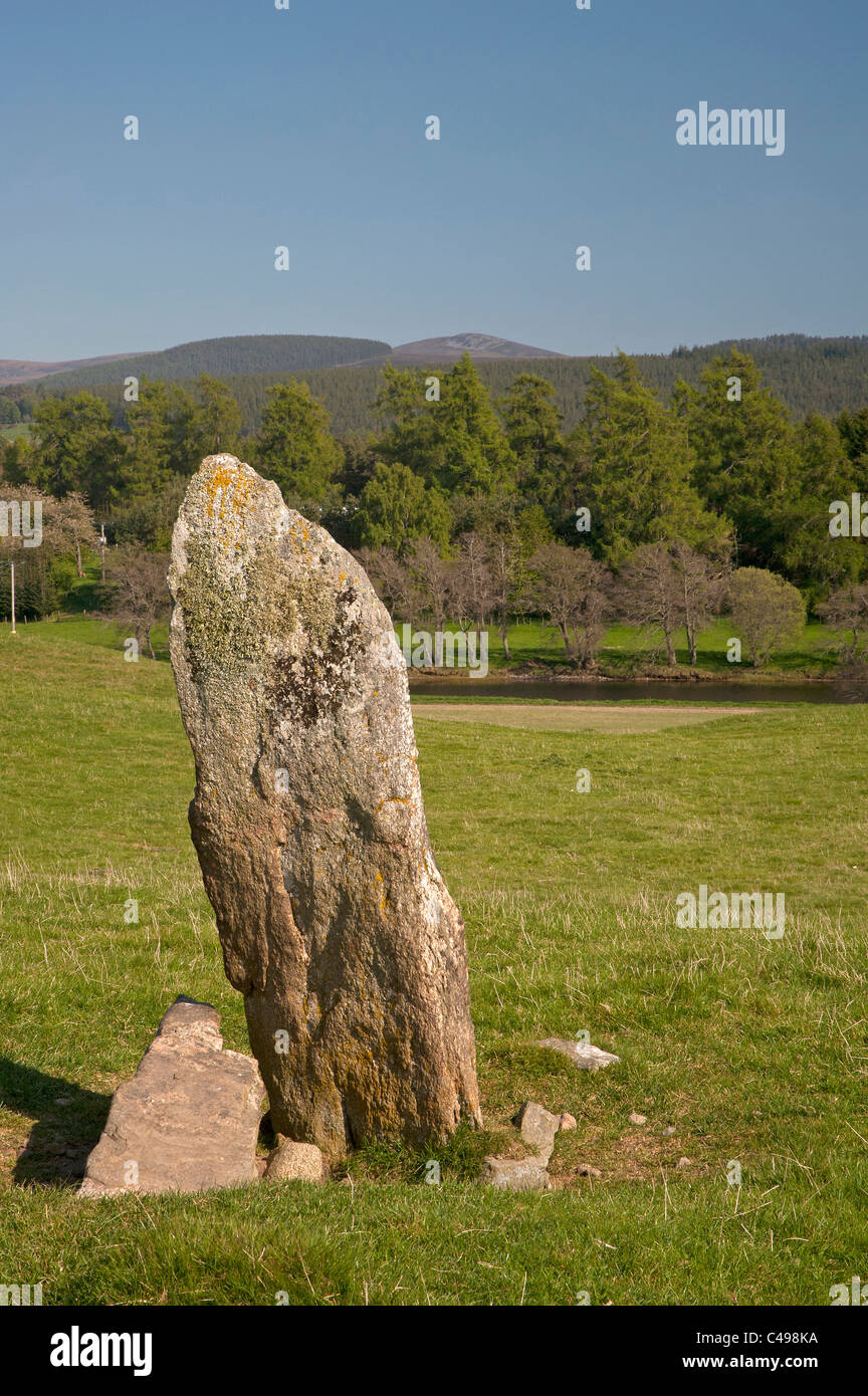 Il West pietra permanente di uno dei tre del Tom Nan Carragh gruppo vicino a Grantown on Spey, murene. La Scozia. SCO 7111 Foto Stock