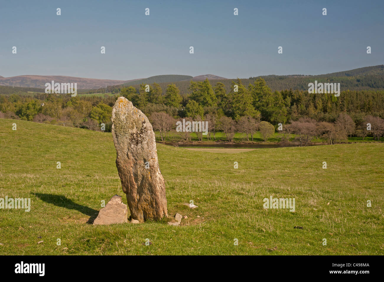 Il West pietra permanente di uno dei tre del Tom Nan Carragh gruppo vicino a Grantown on Spey, murene. La Scozia. SCO 7110 Foto Stock