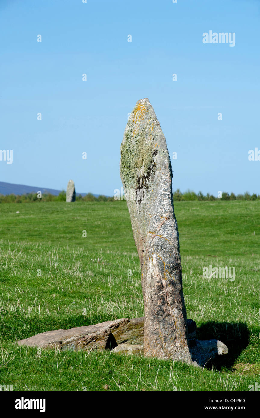 Il West pietra permanente di uno dei tre del Tom Nan Carragh gruppo vicino a Grantown on Spey, murene. La Scozia. SCO 7112 Foto Stock