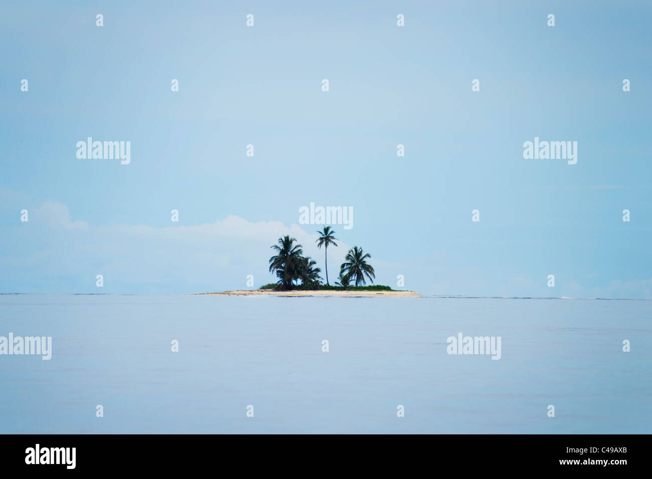 Vista di un'isola con palme in San Blas arcipelago al largo della costa di Panama. Foto Stock