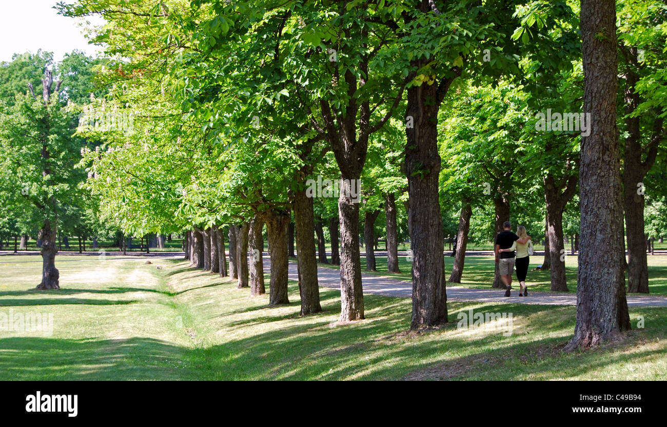 Viale di alberi nel Giardino Inglese di Drottningholm, vicino a Stoccolma, con un paio di passeggiate a braccetto Foto Stock