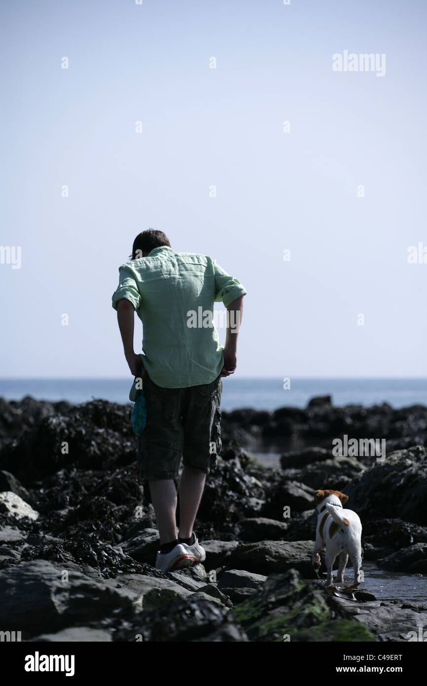 Jack Russell Terrier proprietario e cane a camminare sulla spiaggia rockpool REGNO UNITO Foto Stock