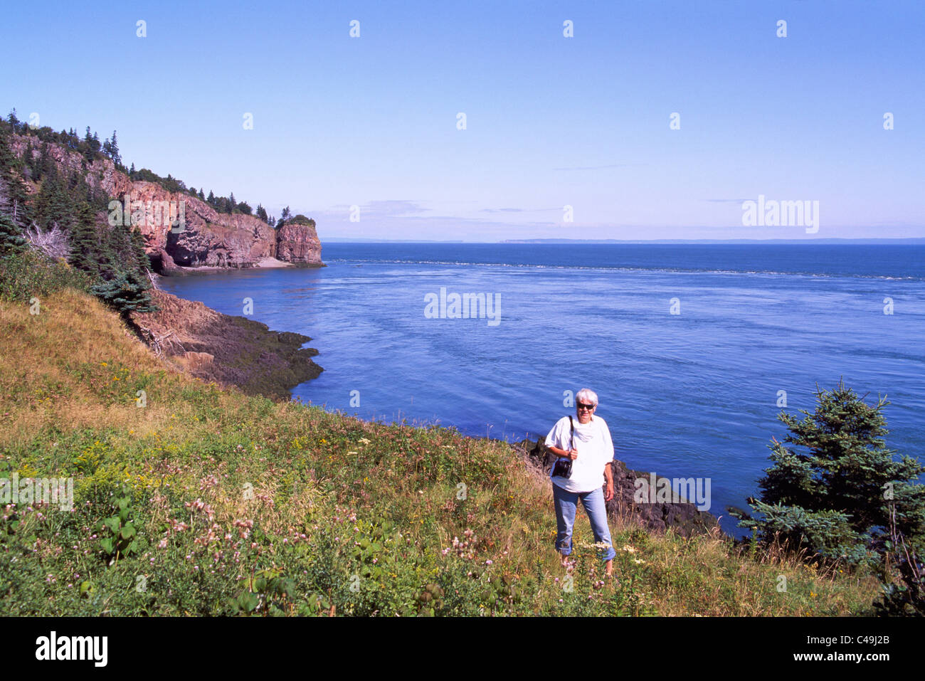 Capo d'Or, Nova Scotia, Canada - costa frastagliata lungo la baia di Fundy affacciato sul Bacino di Minas e promontori di basalto con grotte marine Foto Stock