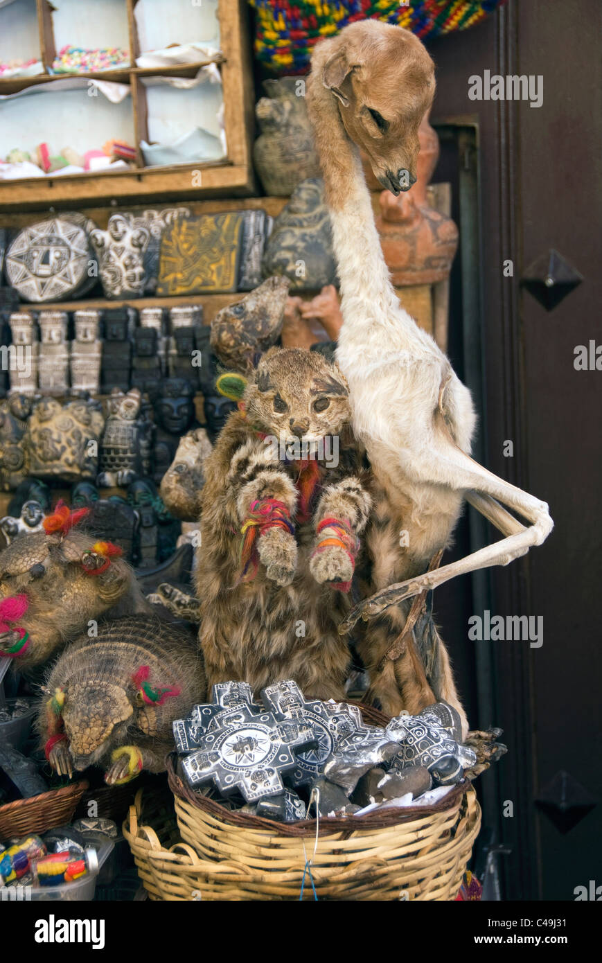 La Paz, Calle Sagamaga, streghe, Mercato di bancarelle che vendono pozioni, magia e animali essiccato Foto Stock