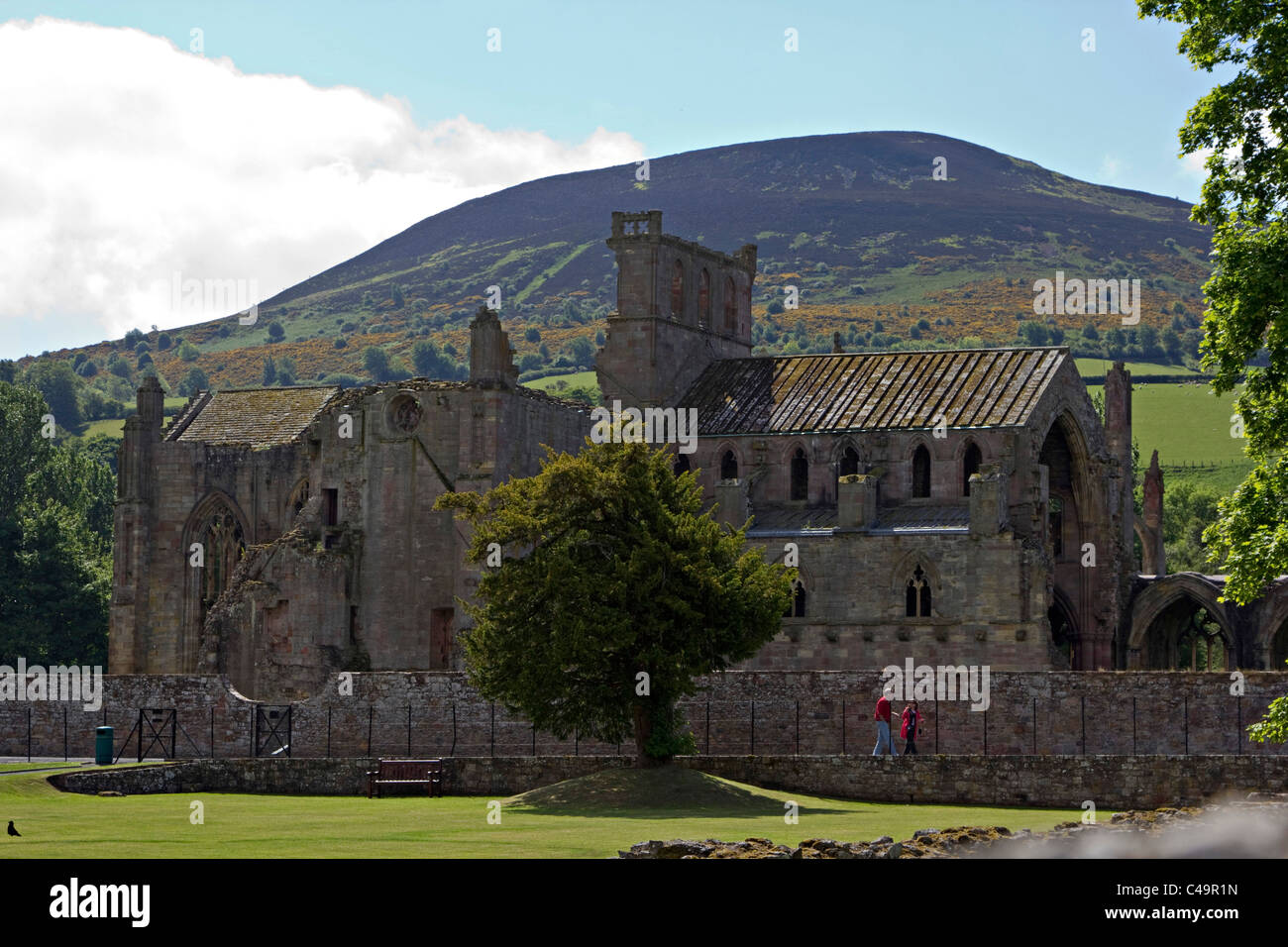 Melrose abbey rovine Scottish Borders scotland Foto Stock