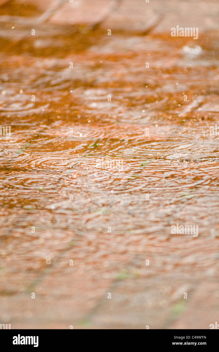 Caduta di pioggia scende tempesta tempeste pozzanghere splash splishing pioggia pesante acqua freschi ripple increspature pozza pozzanghere copertura giorno umido Foto Stock