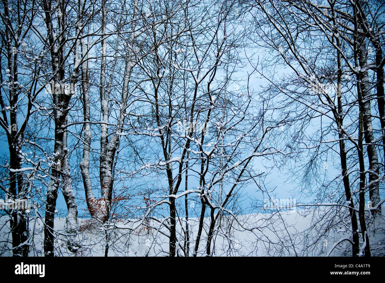 Sandvedparken, Sandnes, Rogaland. Inverno, la neve, parco Foto Stock