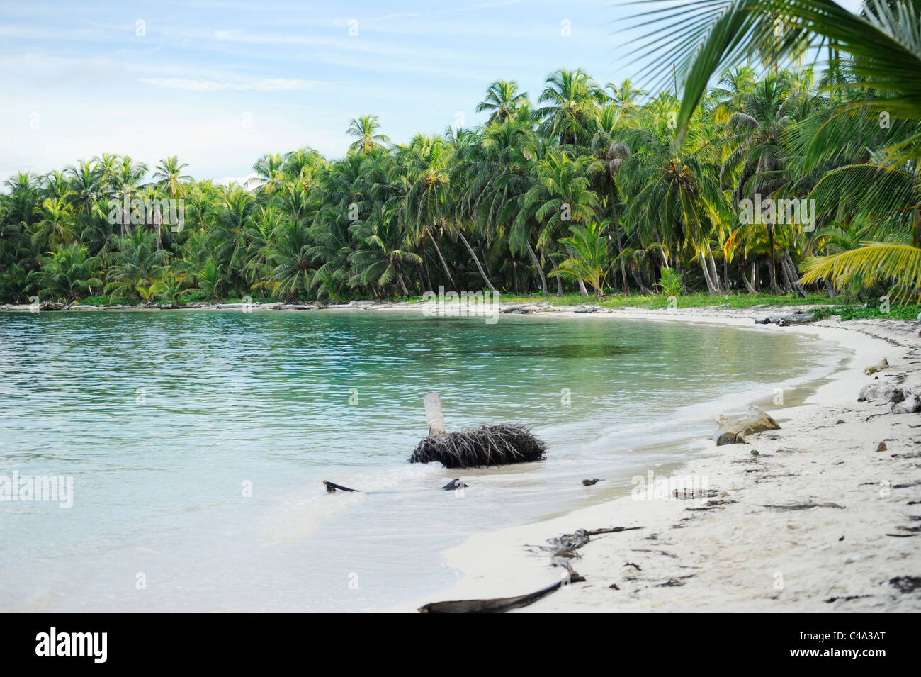 Vista la riva, Isla Iguana, una delle isole San Blas, un arcipelago al largo della costa di Panama. Foto Stock