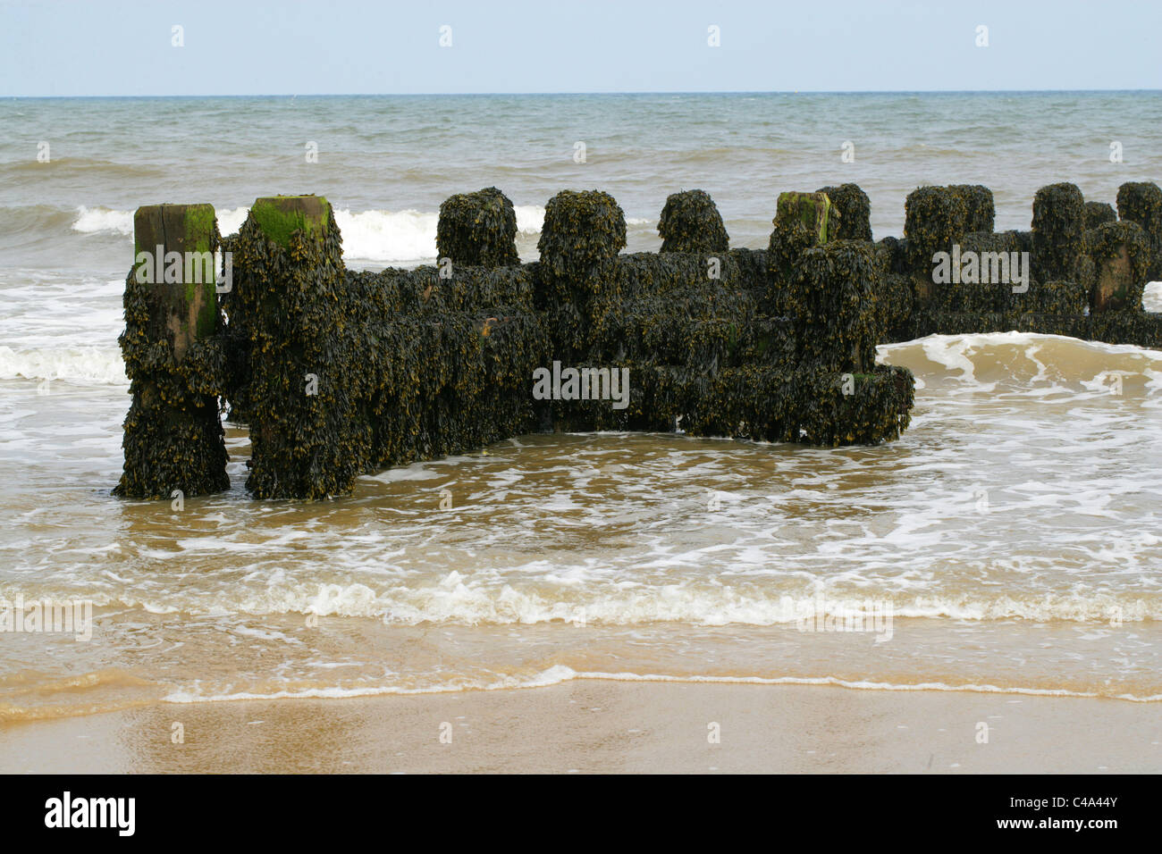 Le difese del mare, Sherringham, Costa di Norfolk, Regno Unito. Foto Stock