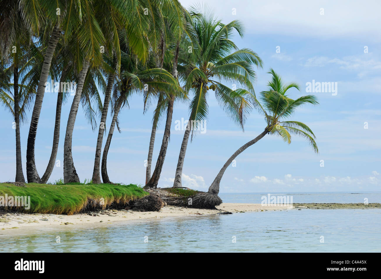 Vista di Isla Iguana, una delle isole San Blas, un arcipelago al largo della costa di Panama. Foto Stock