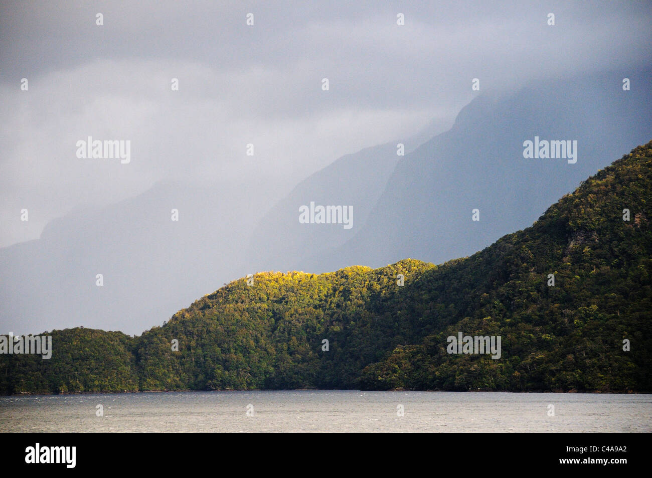 Foresta pluviale e le montagne, Doubtful Sound, Parco Nazionale di Fiordland, Isola del Sud, Nuova Zelanda Foto Stock