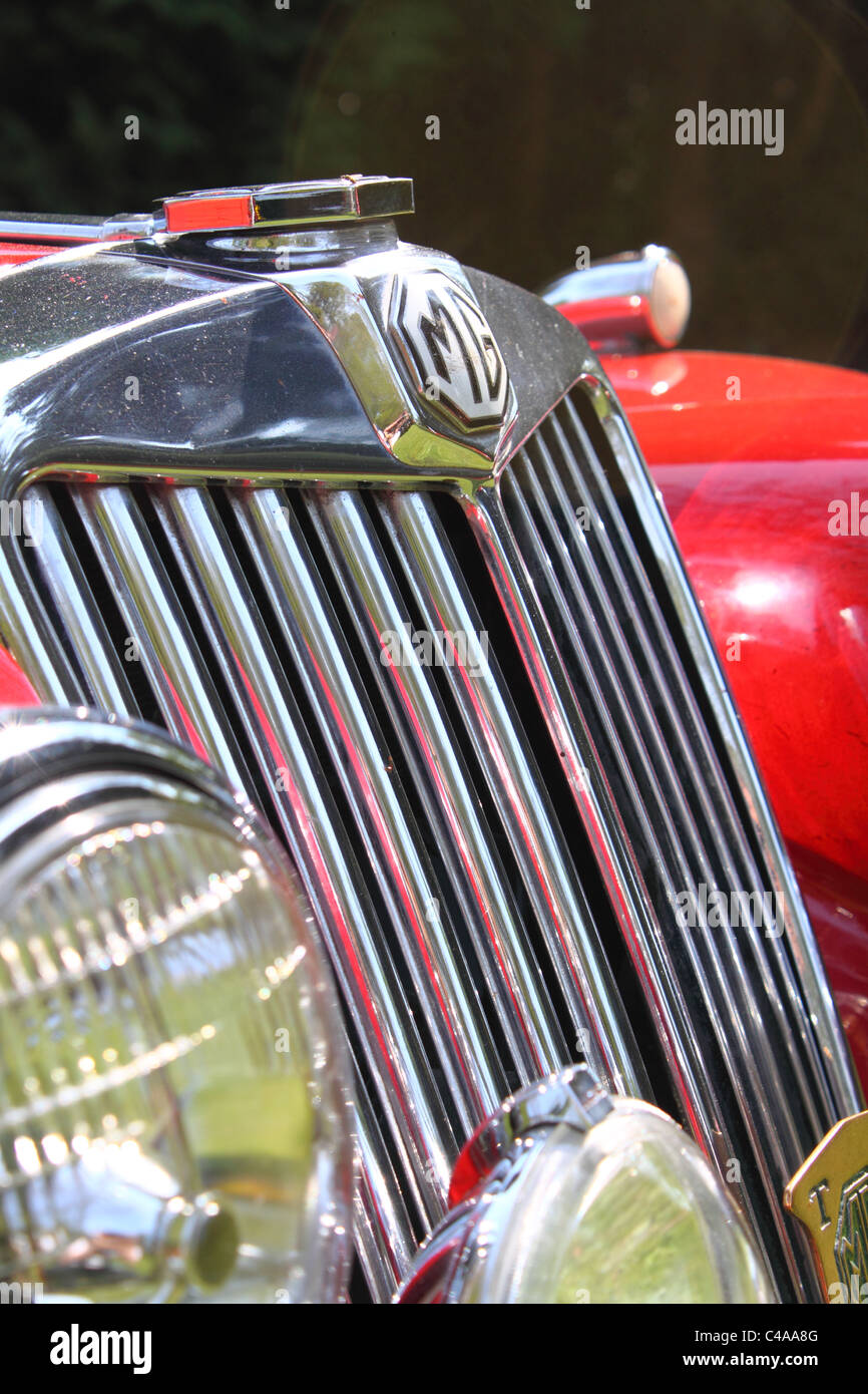 Dettaglio dei classici anni cinquanta MG TF sportscar Foto Stock