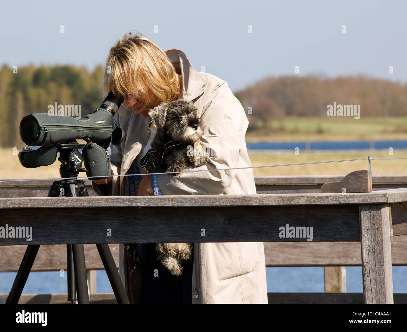 Osservazione degli uccelli cercando telescopio verso il basso mentre si tiene il cane in una riserva naturale. Foto Stock