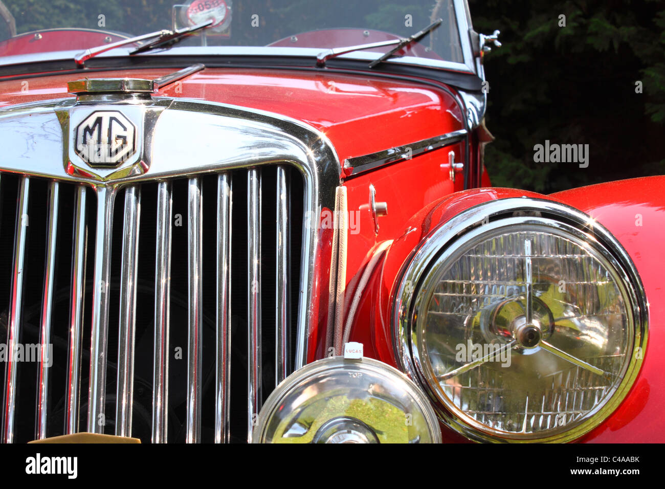 Dettaglio dei classici anni cinquanta MG TF sportscar Foto Stock