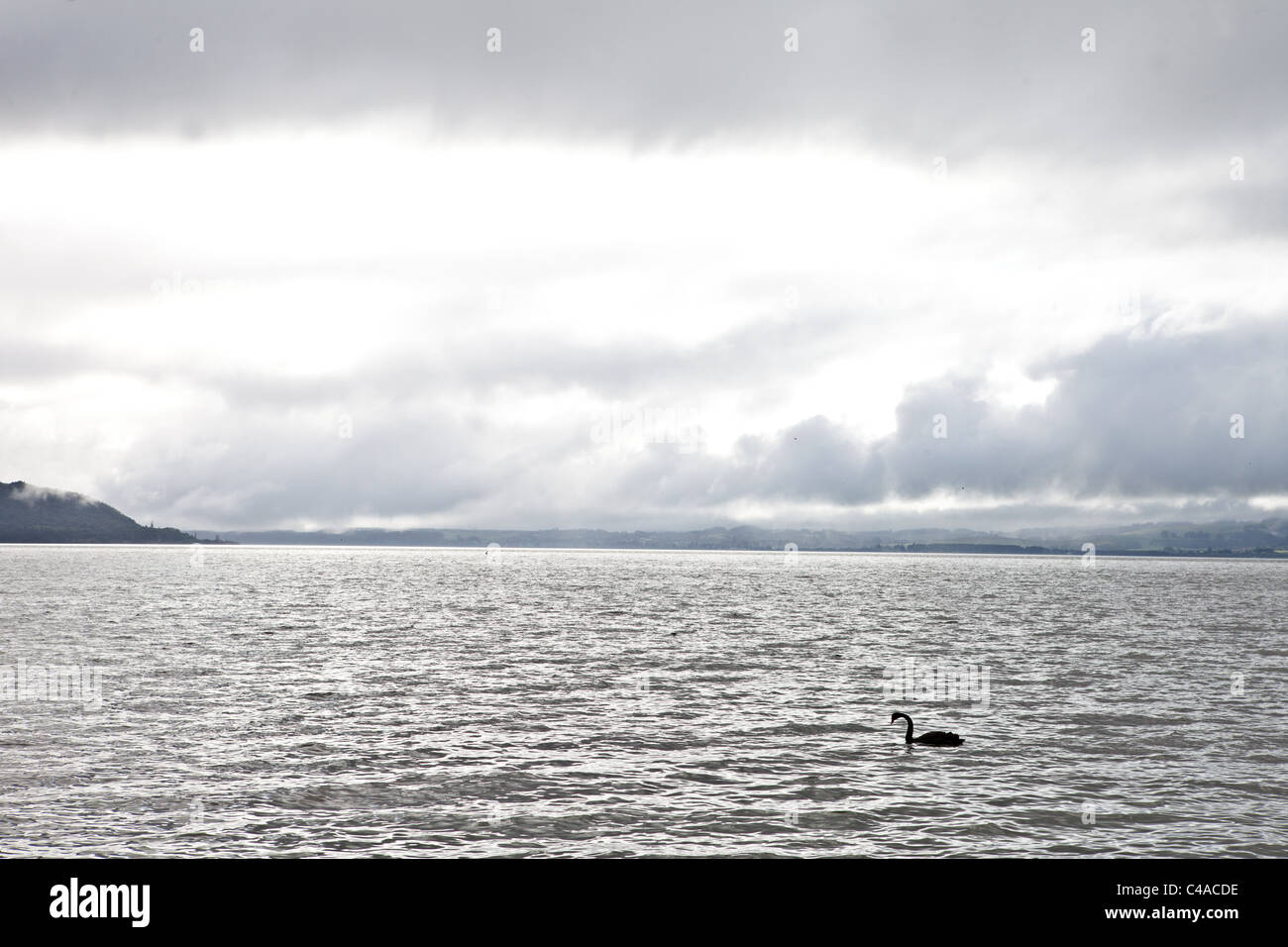Lago di Rotorua, Nuova Zelanda Foto Stock