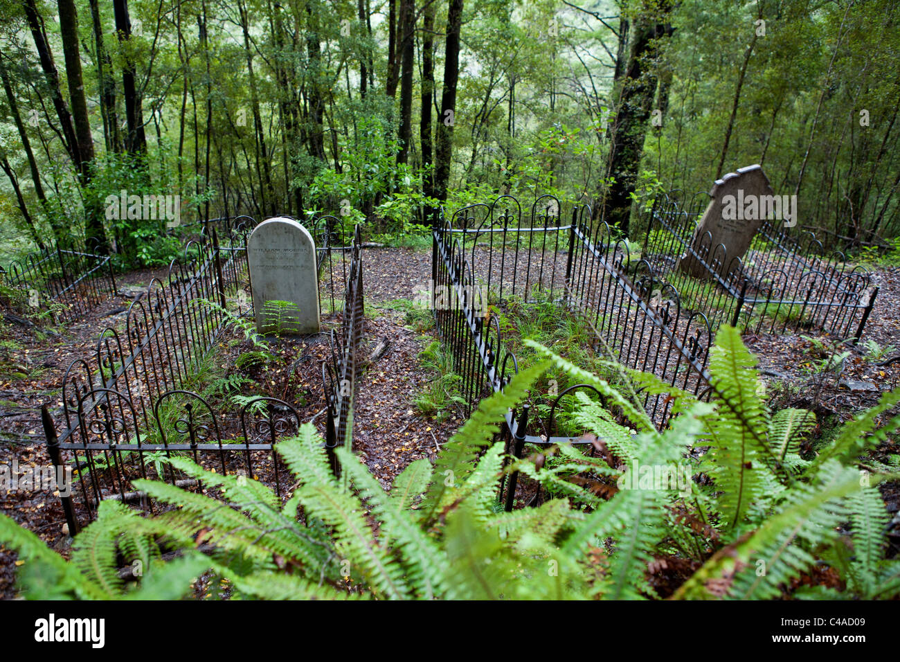 Il vecchio cimitero di oro abbandonate città mineraria Lyell , Isola del Sud , Nuova Zelanda Foto Stock