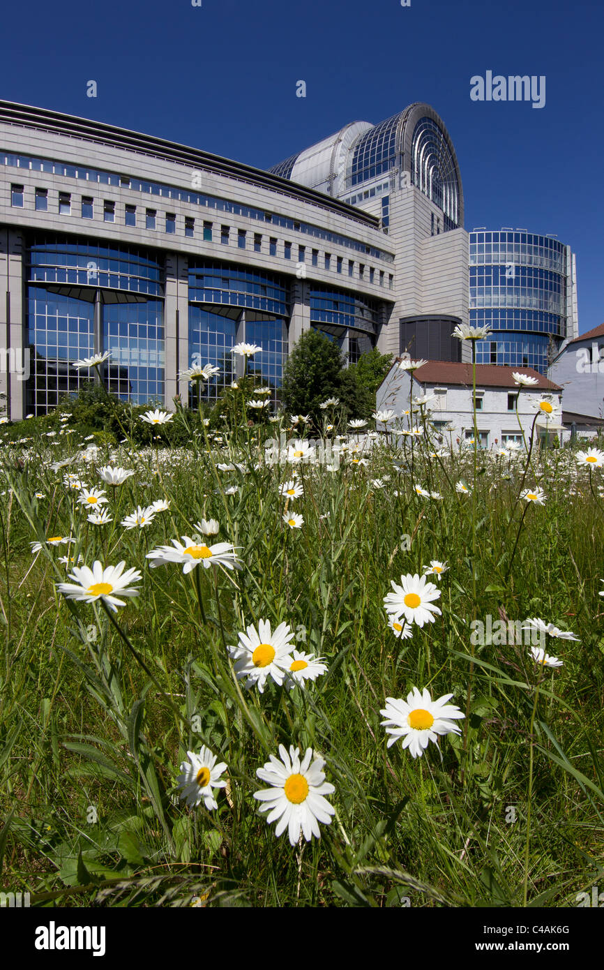 Edificio del Parlamento europeo a Bruxelles Foto Stock
