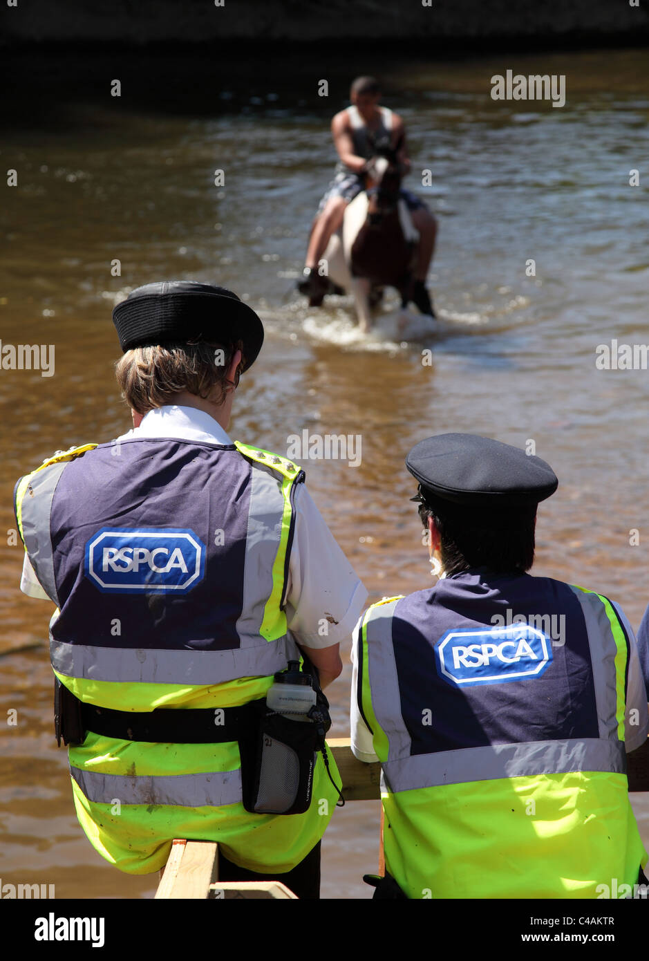 La RSPCA monitoraggio di eventi a Appleby Horse Fair, Appleby-In-Westmorland, Cumbria, England, Regno Unito Foto Stock