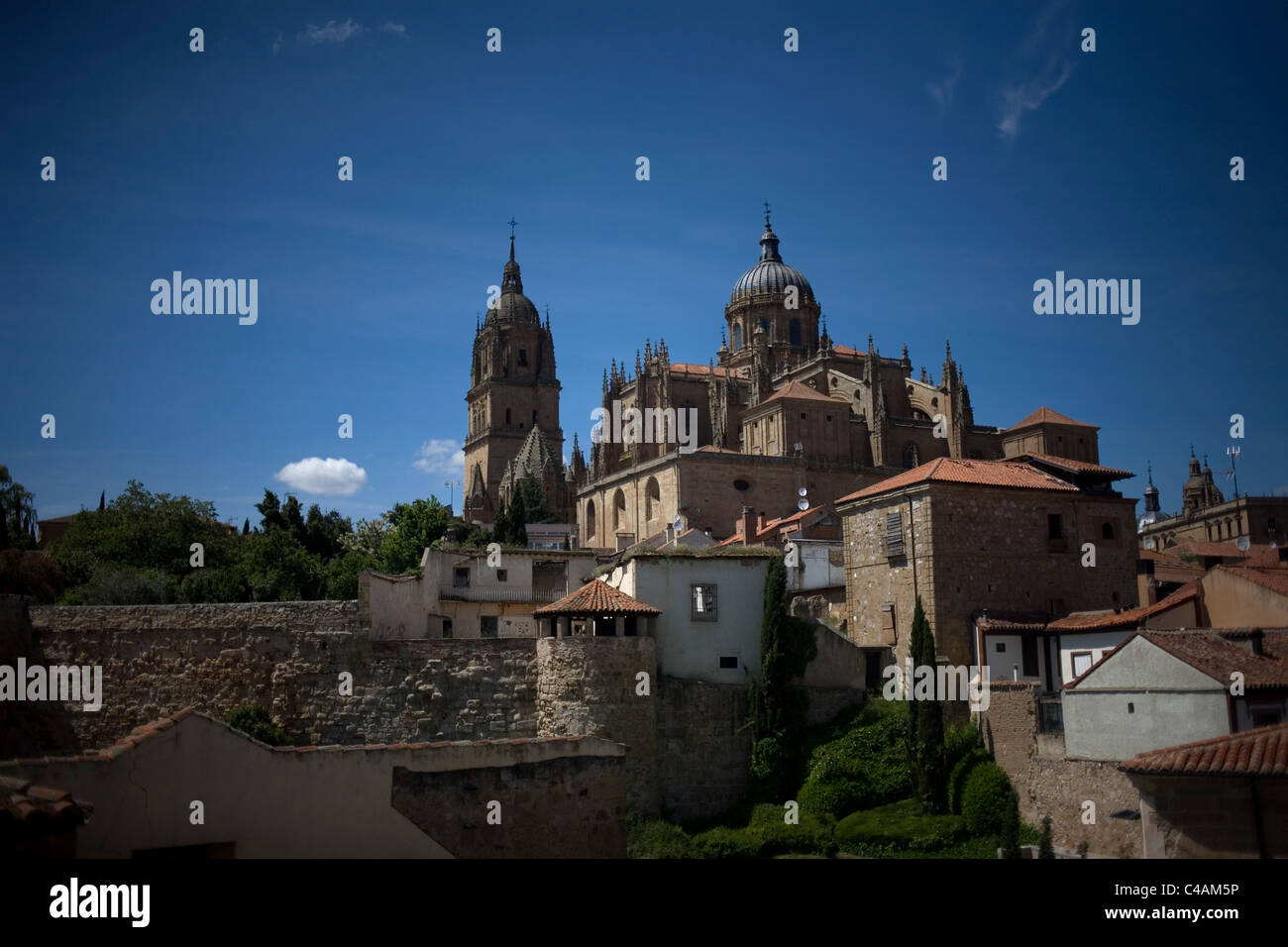 Vista della cattedrale di Salamanca, Spagna. La vecchia città di Salamanca è stata dichiarata dall UNESCO Patrimonio dell Umanità nel 1988. Foto Stock