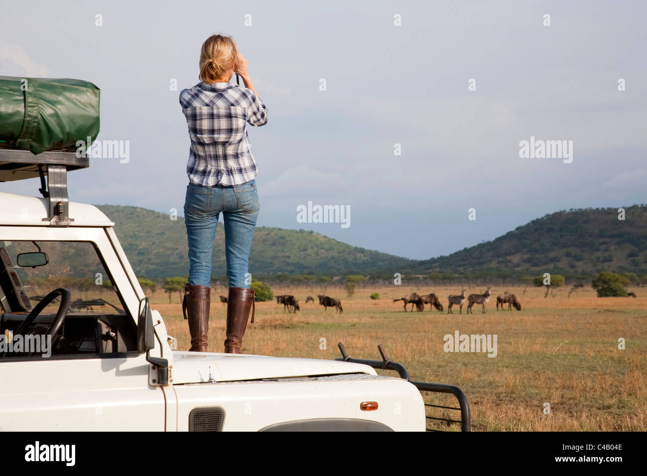 Tanzania, Serengeti. Un turista si erge sul cofano della sua Land Rover per guardare il GNU. Il sig. Foto Stock
