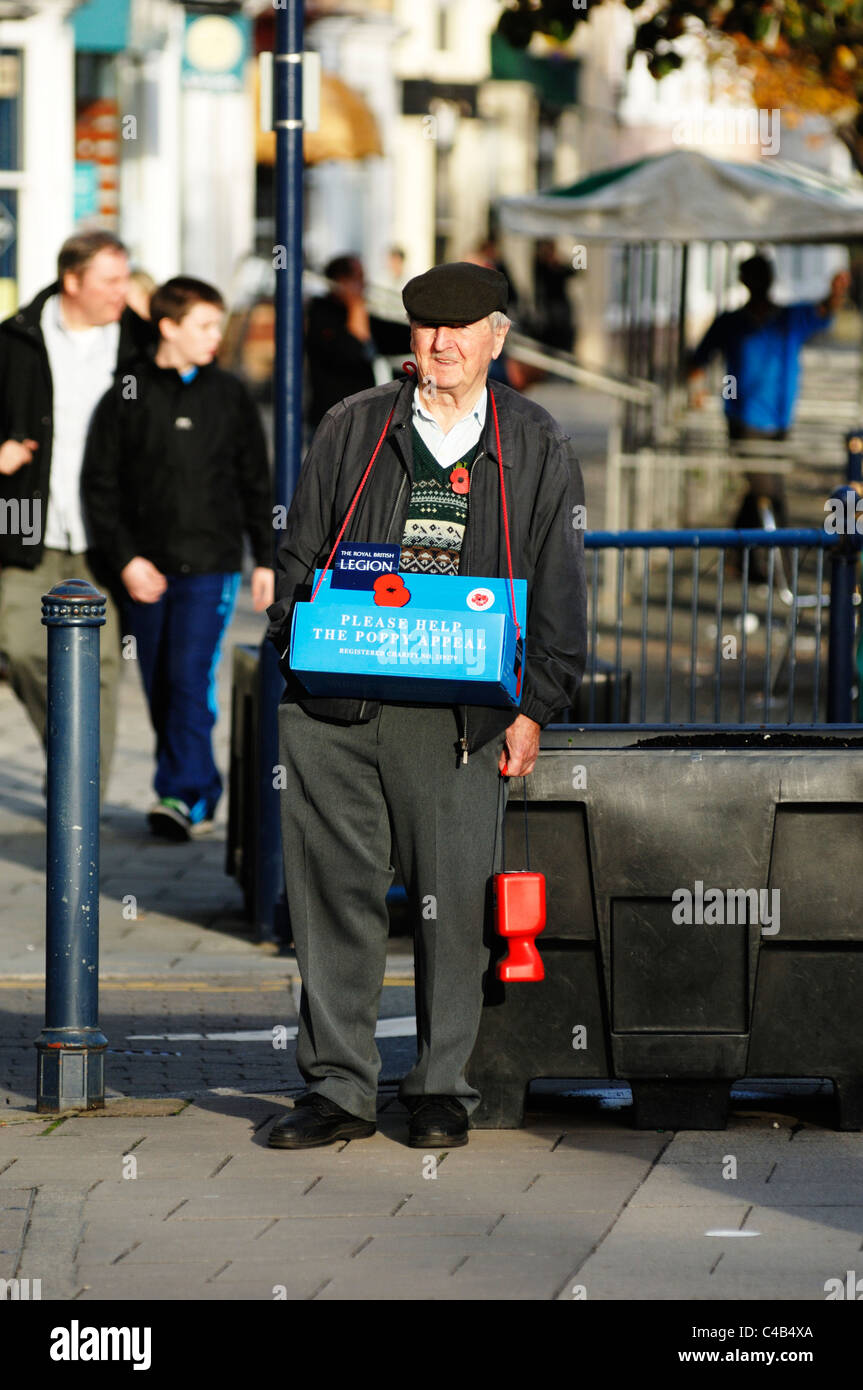 Uomo anziano raccogliendo denaro per il Royal British Legion, appello di papavero, Aberystwyth, Galles. Foto Stock