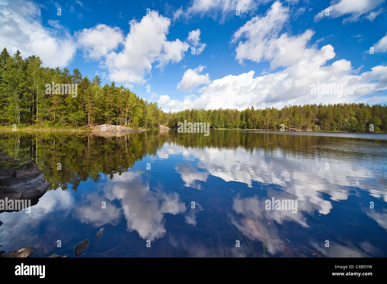 Finlandia il lago. Ampio angolo di visione. Foto Stock
