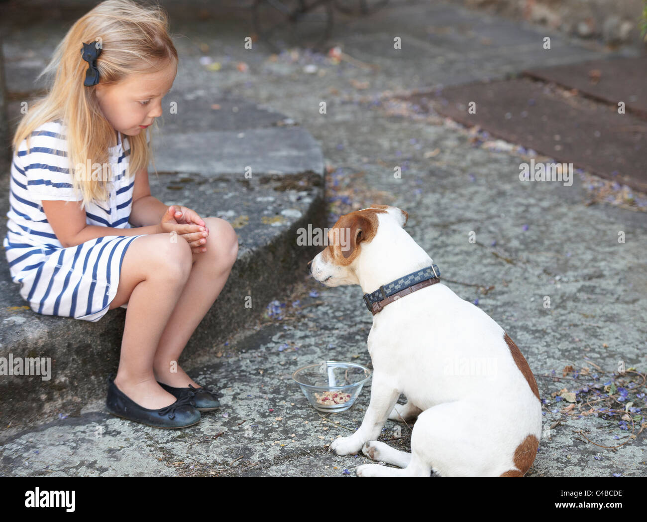 Ragazza alimentando un cane Foto Stock