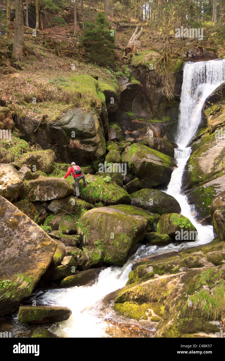 Un uomo arrampicata sulle rocce accanto alla cascata a Triberg nella parte centrale della Foresta Nera. Foto Stock