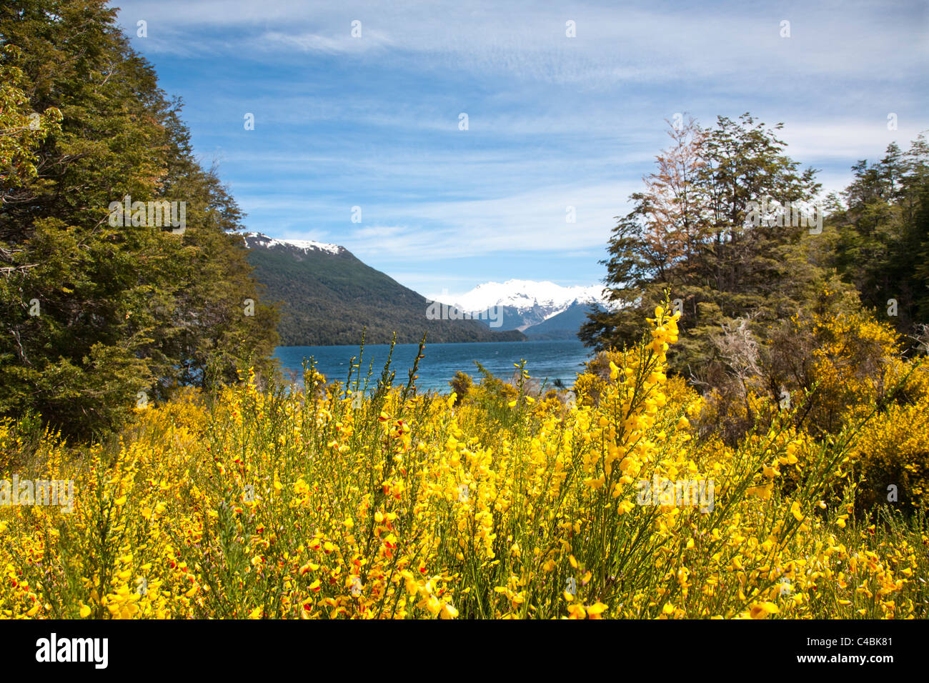 Lago Menendez, Los Alerces National Park è un parco nazionale in Chubut Provincia, Argentina Foto Stock