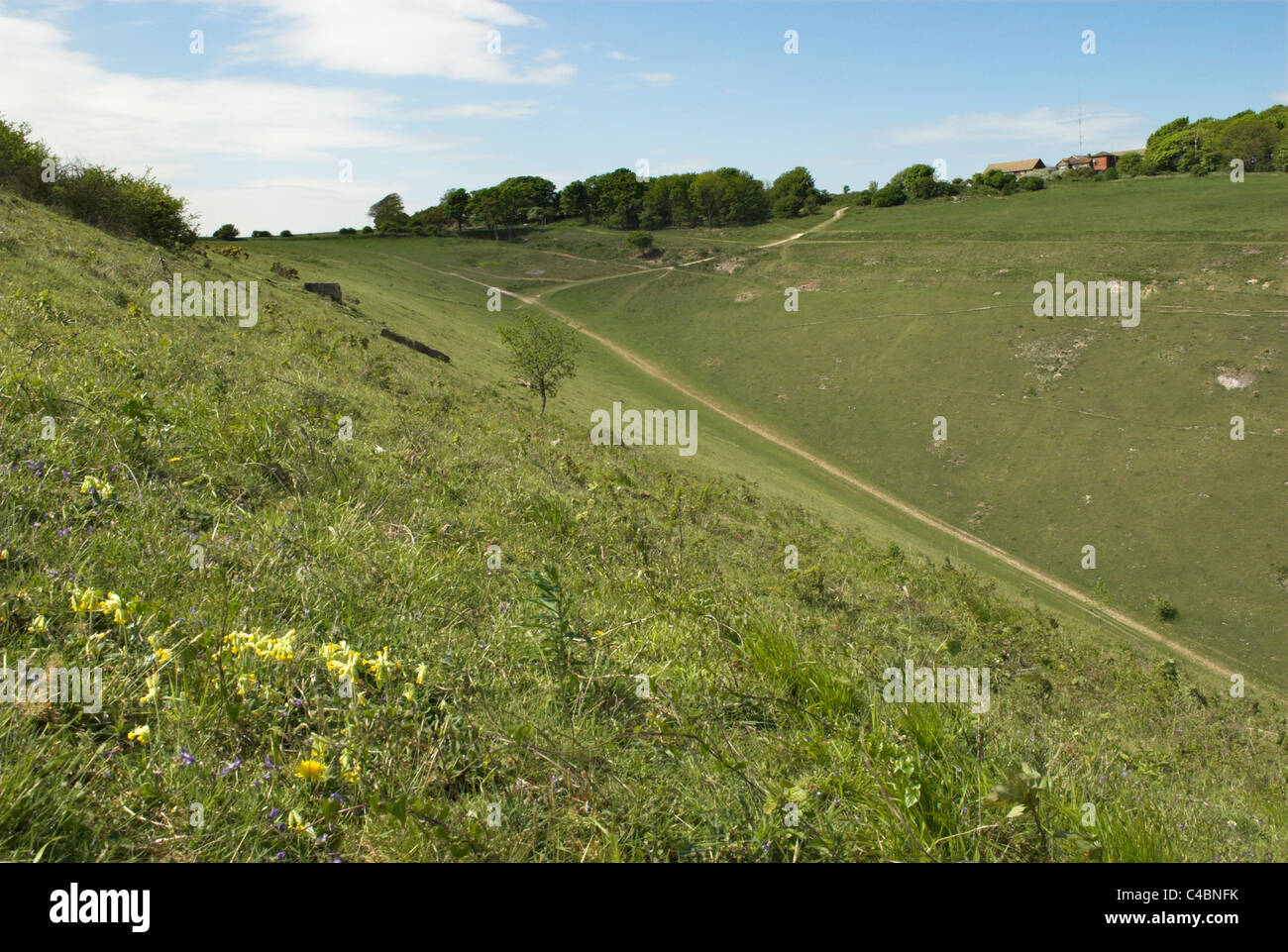 Il Devil's Dyke nel South Downs National Park in Inghilterra del sud. Foto Stock