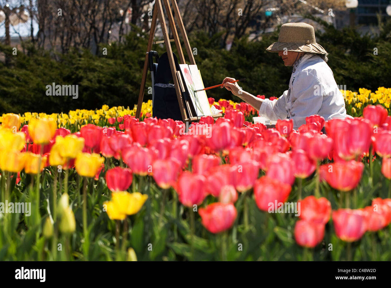 Maggio 2011. Ottawa artista Denise Levesque lavorare su un dipinto durante il 2011 National Tulip Festival di Ottawa Ontario Canada. Foto Stock