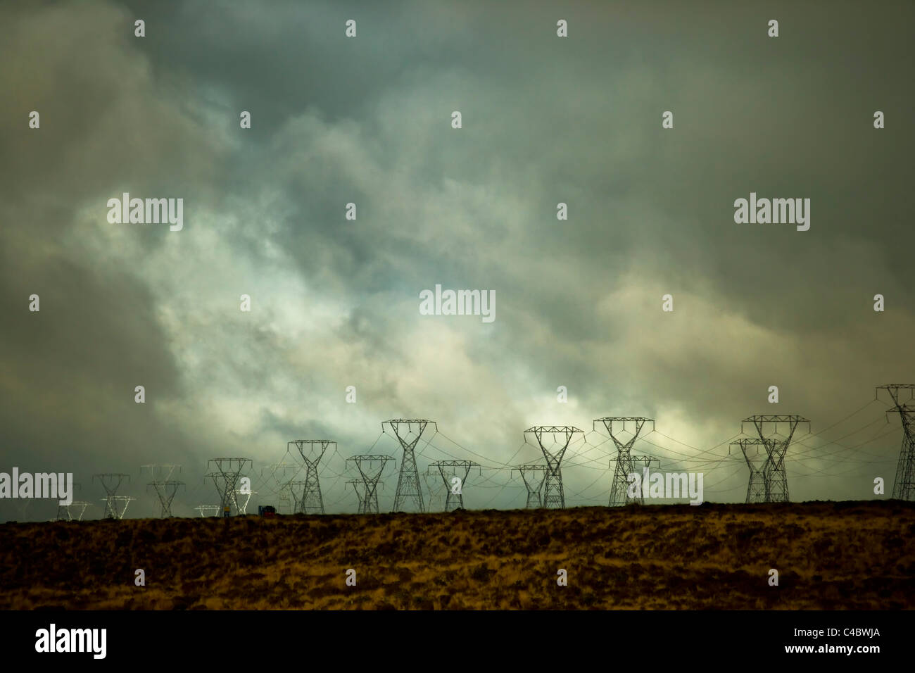 Tralicci di elettricità che corre lungo la statale, nei pressi del parco nazionale di Tongariro, Nuova Zelanda Foto Stock