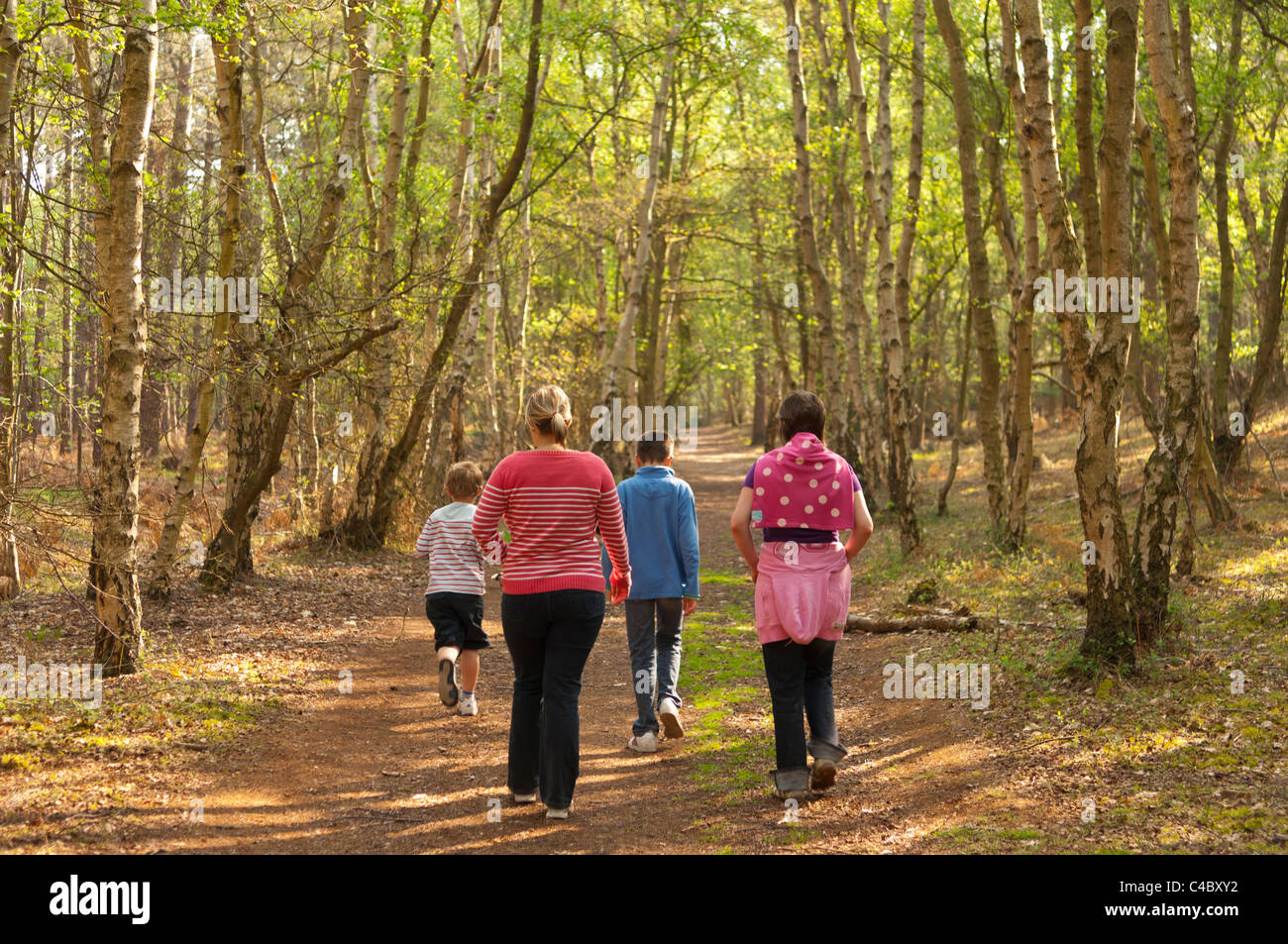 Una famiglia a piedi nei boschi a Westleton Heath , Suffolk , Inghilterra , Inghilterra , Regno Unito Foto Stock