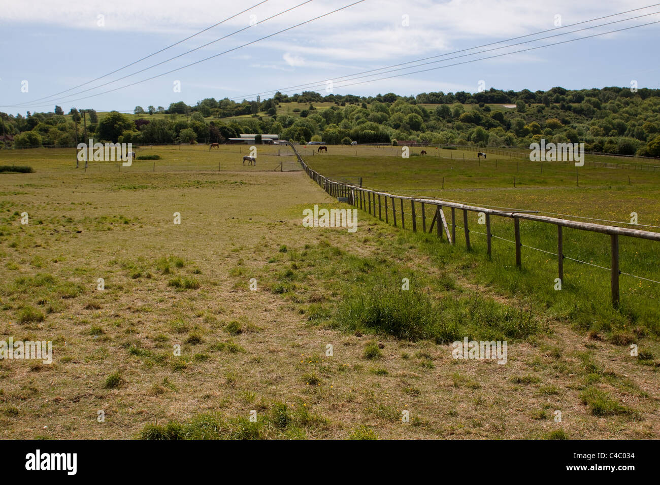 Horse paddock guardando verso Coombe Hill nr Wendover. La alta velocità 2 (HS2) collegamento ferroviario correrà accanto a questo campo. Foto Stock