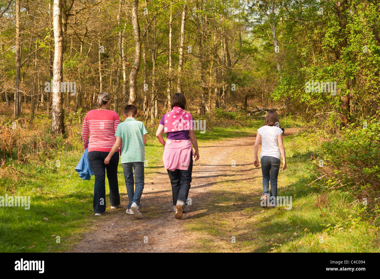 Una famiglia a piedi nei boschi a Westleton Heath , Suffolk , Inghilterra , Inghilterra , Regno Unito Foto Stock